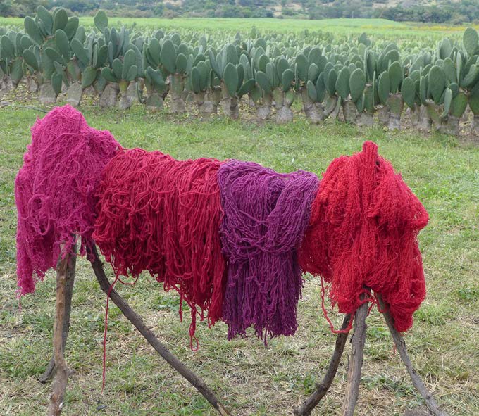 Rojo Mexicano/Mexican Red: International Colloquium on Cochineal
