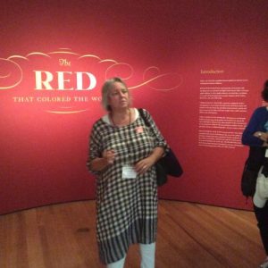 Elena Phipps, guiding participants through the exhibition on Cochineal Red Dye