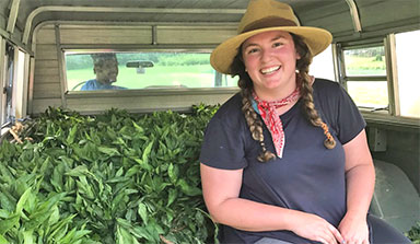 Smiling woman sits in a truck with indigo harvest
