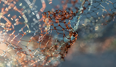 Closeup of Pat Hickman netting sculpture