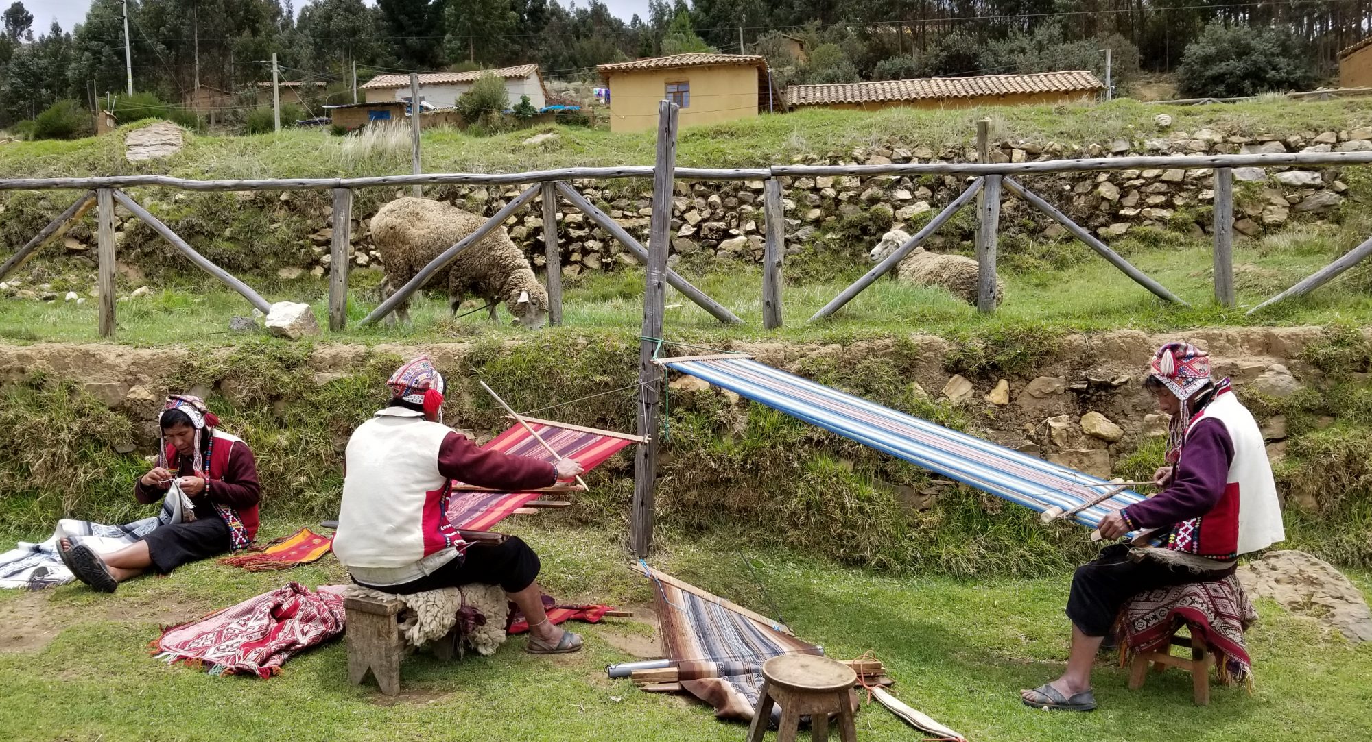Men weaving on backstrap looms
