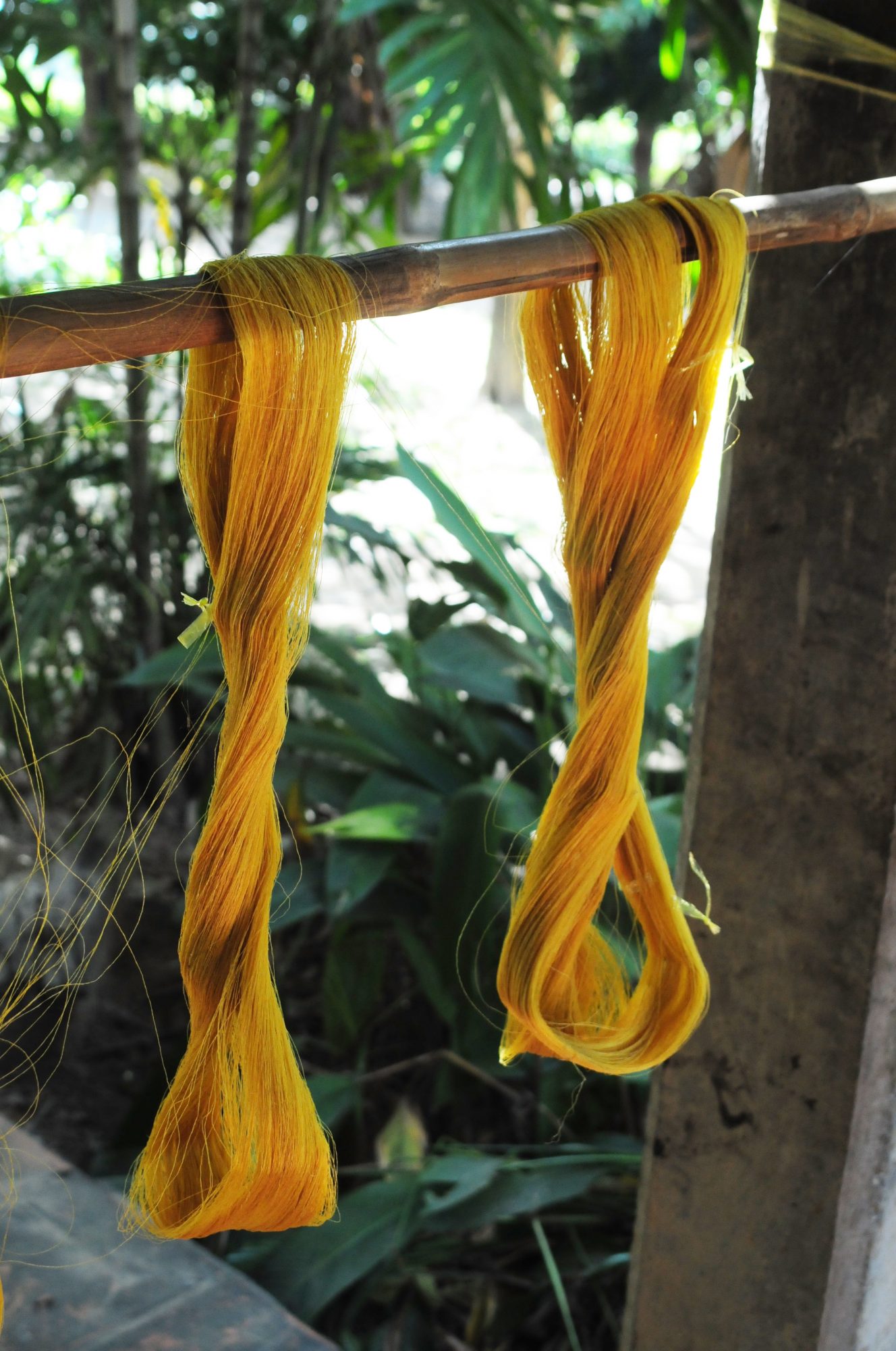Golden silk threads
