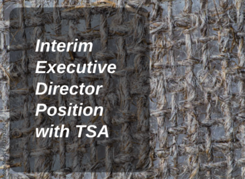 Job Opportunity: Interim Executive Director Position with TSA